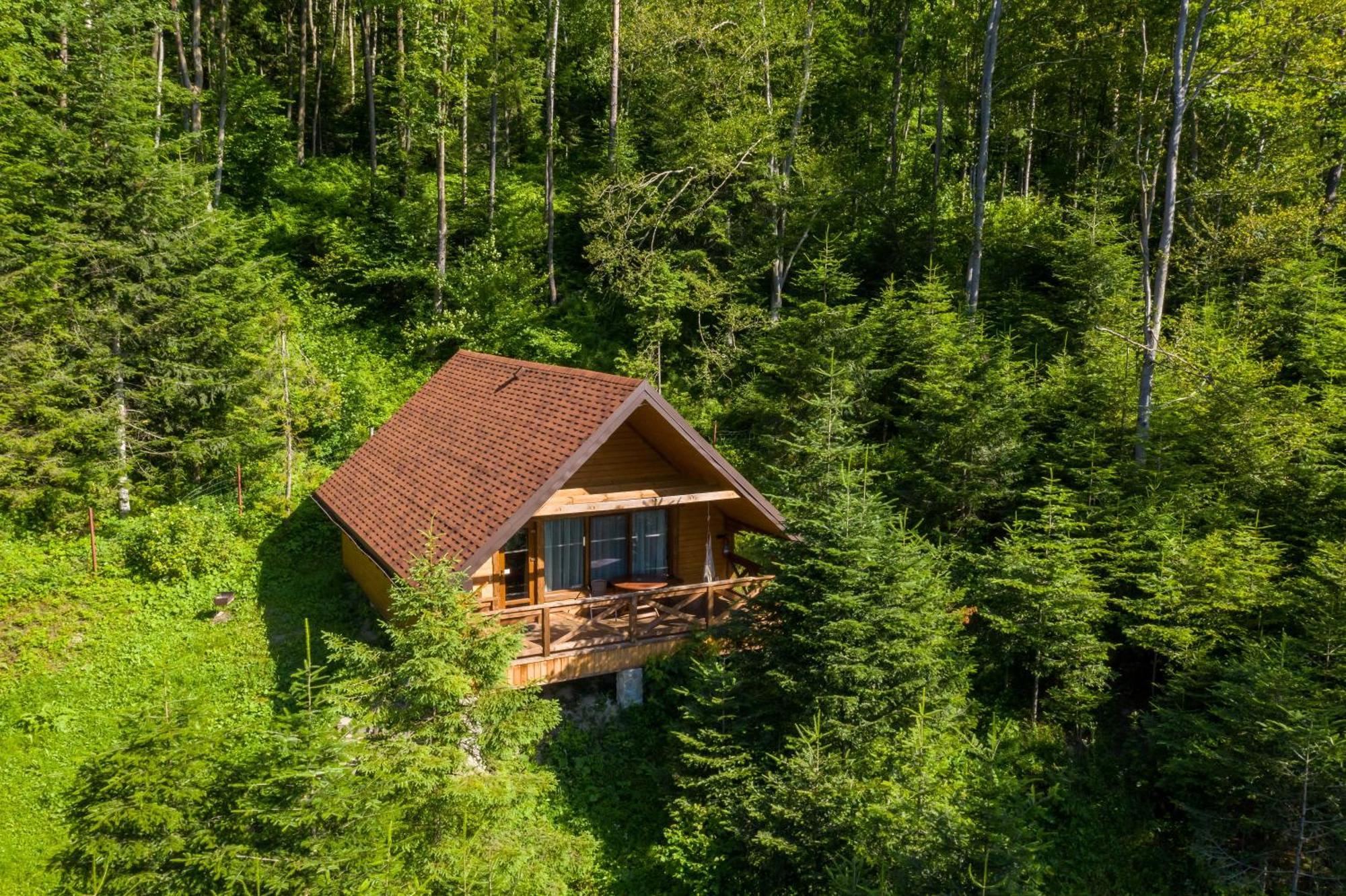 Osonnya Karpaty 4*