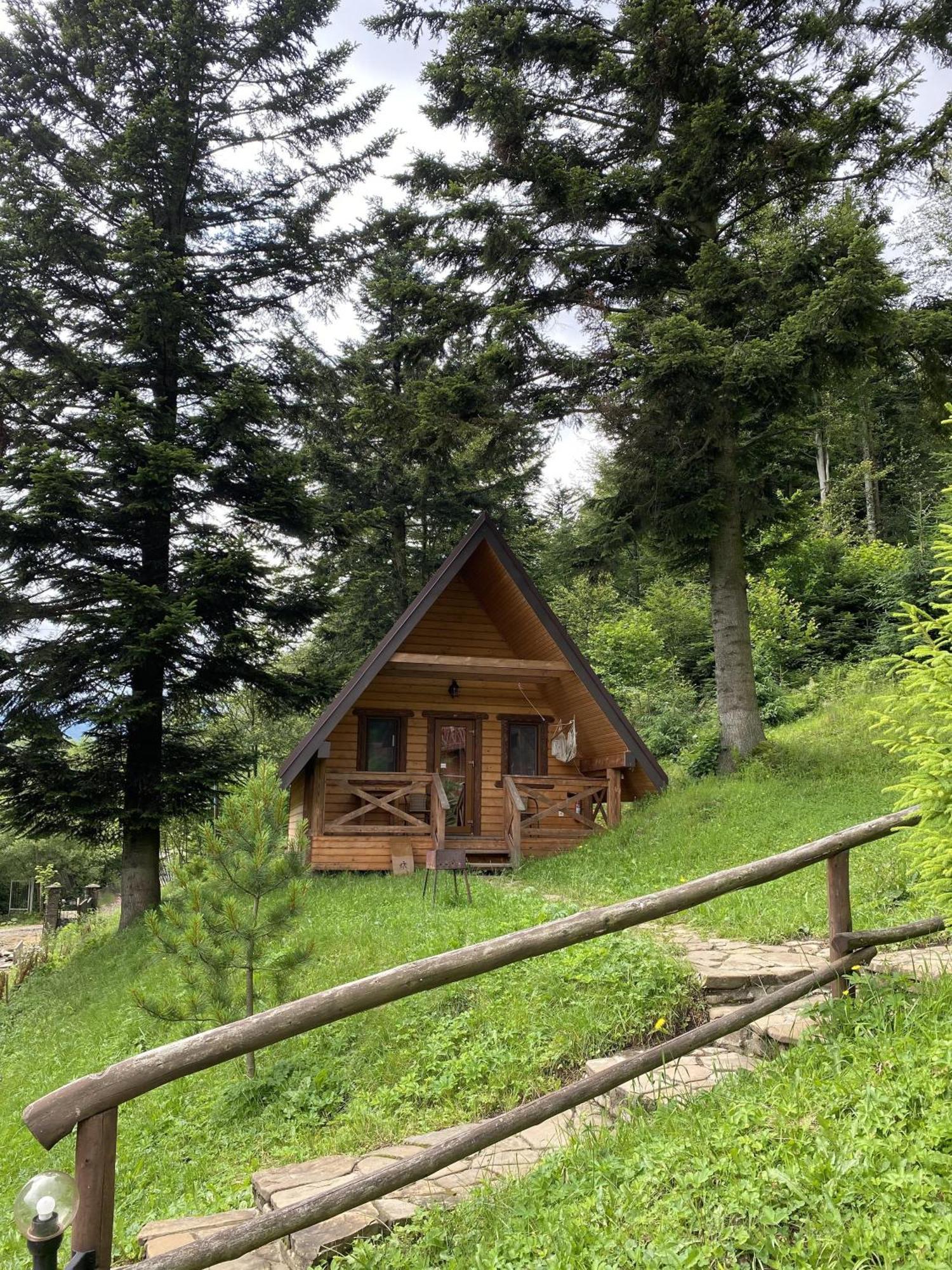 Osonnya Karpaty 4* *